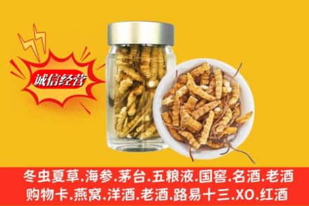 大理剑川县回收散虫草