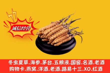 大理剑川县名酒回收冬虫夏草.jpg